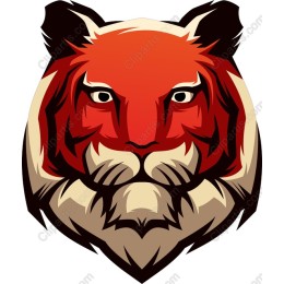 Majestic Tiger Head