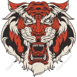 Fierce Tiger Head