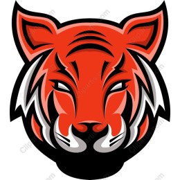 Fierce Tiger Head