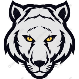 Fierce Tiger