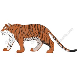 Majestic Tiger