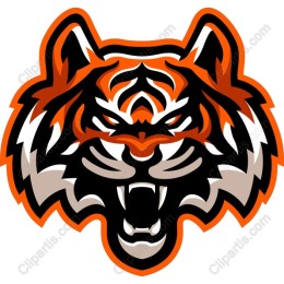Fierce Tiger Head