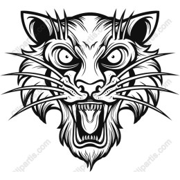 Fierce Tiger Face