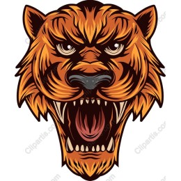Fierce Tiger Head