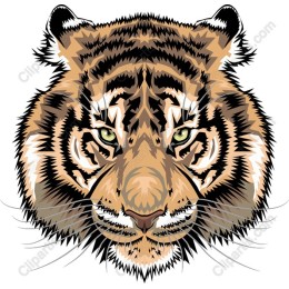Majestic Tiger Face
