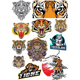 Tiger Bundle - Fierce & Playful