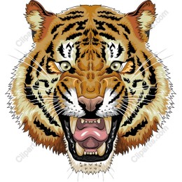 Fierce Tiger