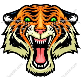 Roaring Tiger Head