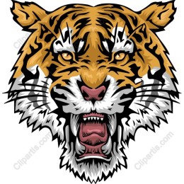 Roaring Tiger Head