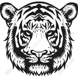 Majestic Tiger Head