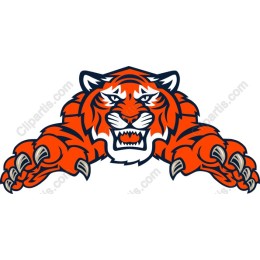 Fierce Tiger