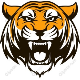 Fierce Tiger Head