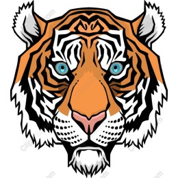 Majestic Tiger Head