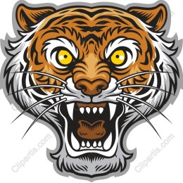 Fierce Tiger Head
