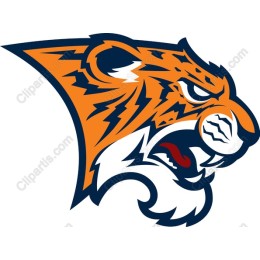 Tiger Head