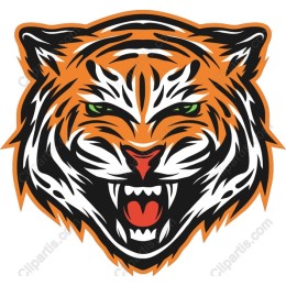 Fierce Tiger