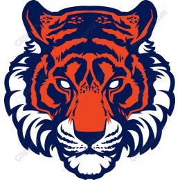 Fierce Tiger Head
