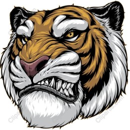 Fierce Tiger Head
