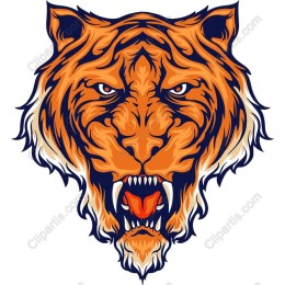 Fierce Tiger Face