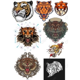 Majestic Tiger Bundle - Collection