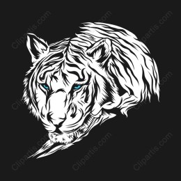 Majestic White Tiger