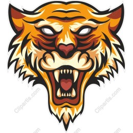 Fierce Tiger Head
