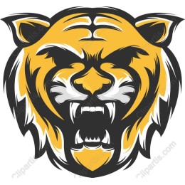 Fierce Roaring Tiger
