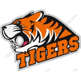 Fierce Tiger Head