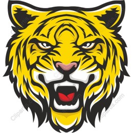 Fierce Tiger Head