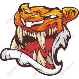 Fierce Tiger Head