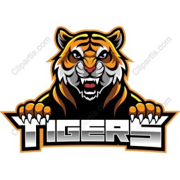 Fierce Tiger Logo
