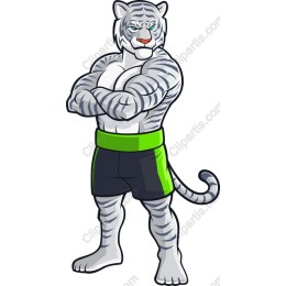 Muscular Cartoon Tiger