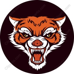 Vicious Tiger