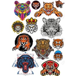 Majestic Big Cats Bundle