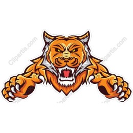 Fierce Tiger