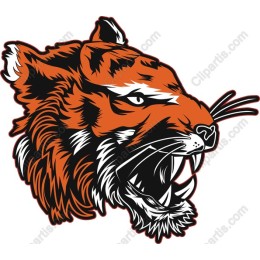 Fierce Tiger Head