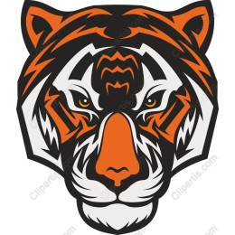 Majestic Tiger