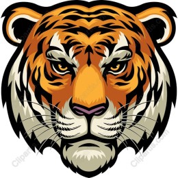 Fierce Tiger Head