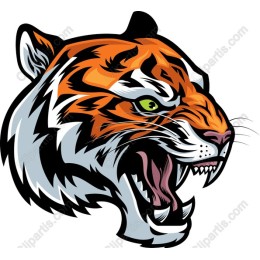 Fierce Tiger Head