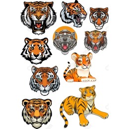 Tiger Bundle - 12 Distinct s
