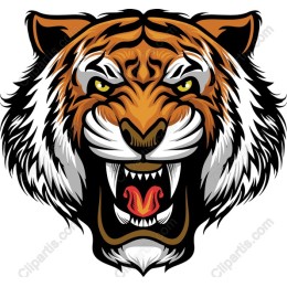 Fierce Tiger Head