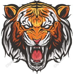 Vibrant Roaring Tiger Head