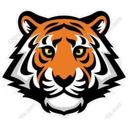 Fierce Tiger Head