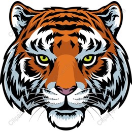 Majestic Tiger Head