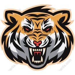 Fierce Tiger Head