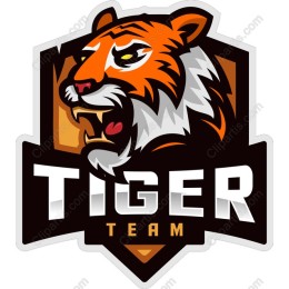 Tiger Team