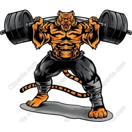 Fierce Tiger Weightlifting