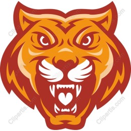 Fierce Tiger Head