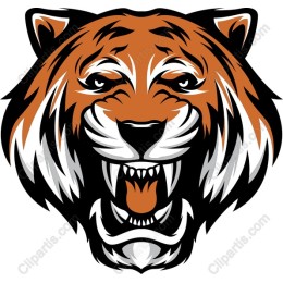 Fierce Tiger Head