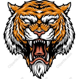 Roaring Tiger Head